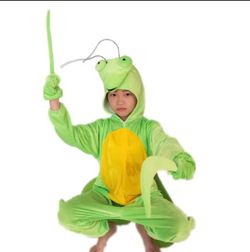 Amazing Praying mantis Costume Beautiful Frog costume velvet Sz 10-12