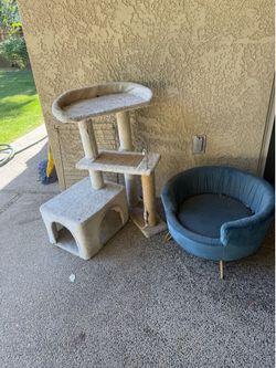Cat chair and house