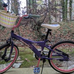 Huffy 20" Girl Colorful Cycle