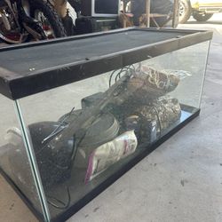 Reptile Terrarium With Equipment 