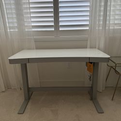 Electric standing Desk
