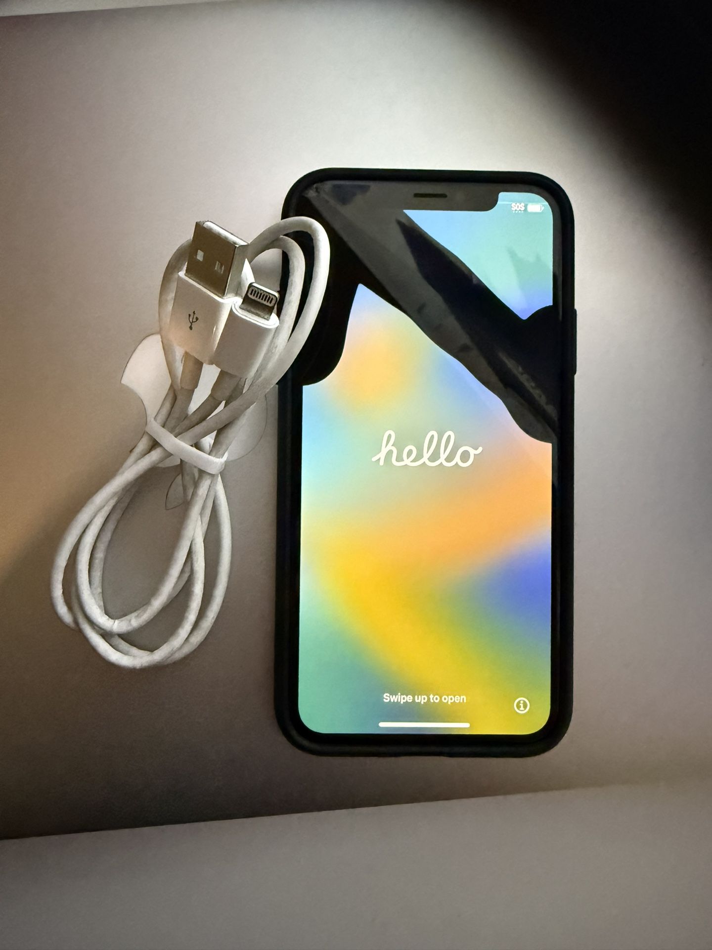 iPhone X