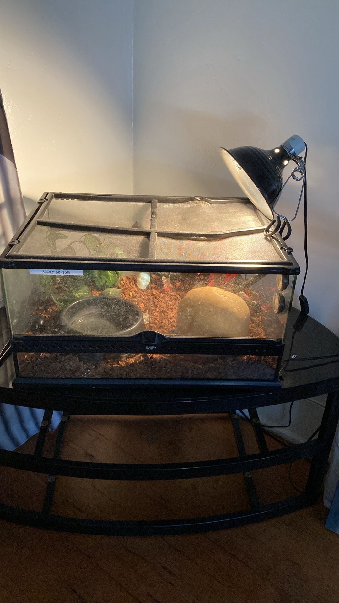 Tank/Cage W/Heat Lamps & Bedding