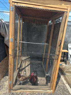 Wood Bird Cage $150 Metal Gage $50