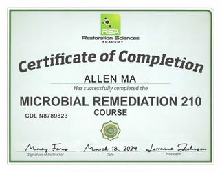 Mold Removal