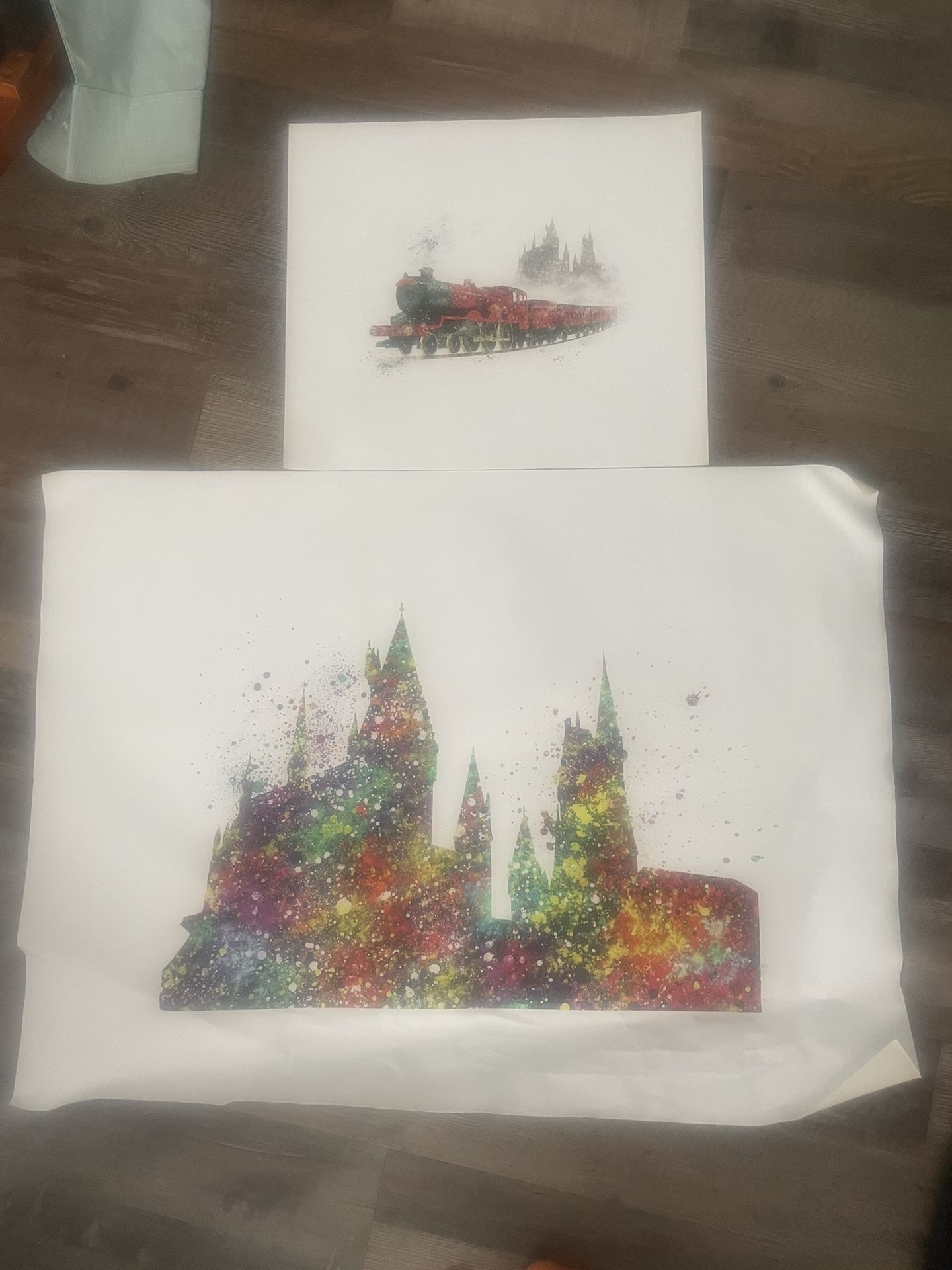 Two Harry Potter Vinyl Prints