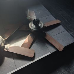 Ceiling Fans