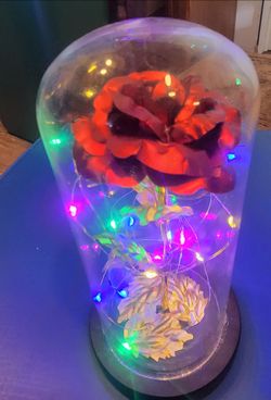 ☆●Light Up Rose in Dome