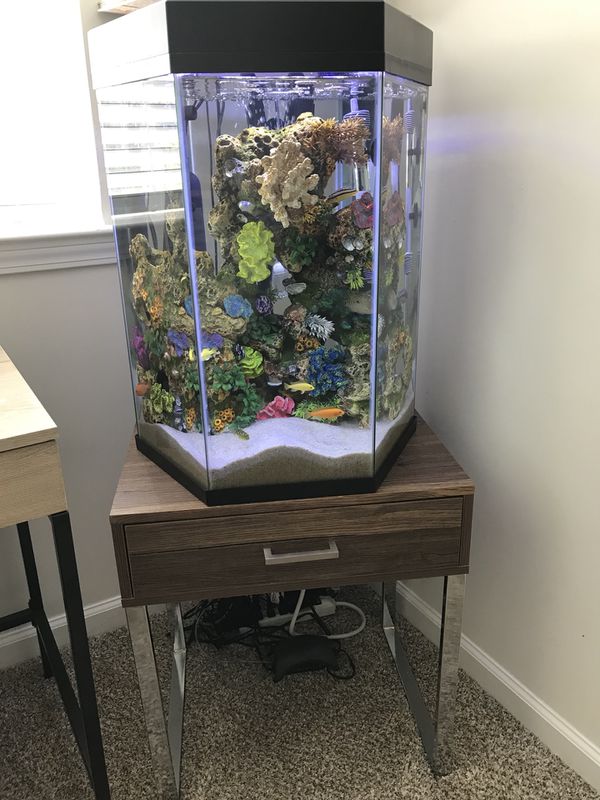 Topfin 20 Gallon Hexagon Aquarium with stand for Sale in