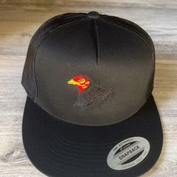 Gorras de Gallo 🐓 snapback hat 🧢 