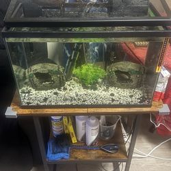 10 Gallon Fish Tank With A  Filter