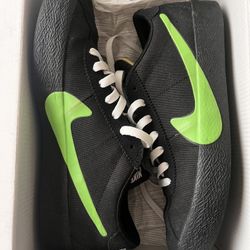 Nike Sb Bruin Poet