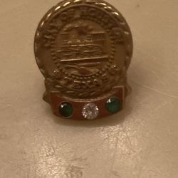 Gold And Gemstone Pin