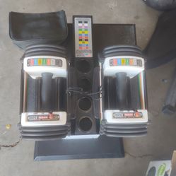 Powerblock Dumbbells With Stand