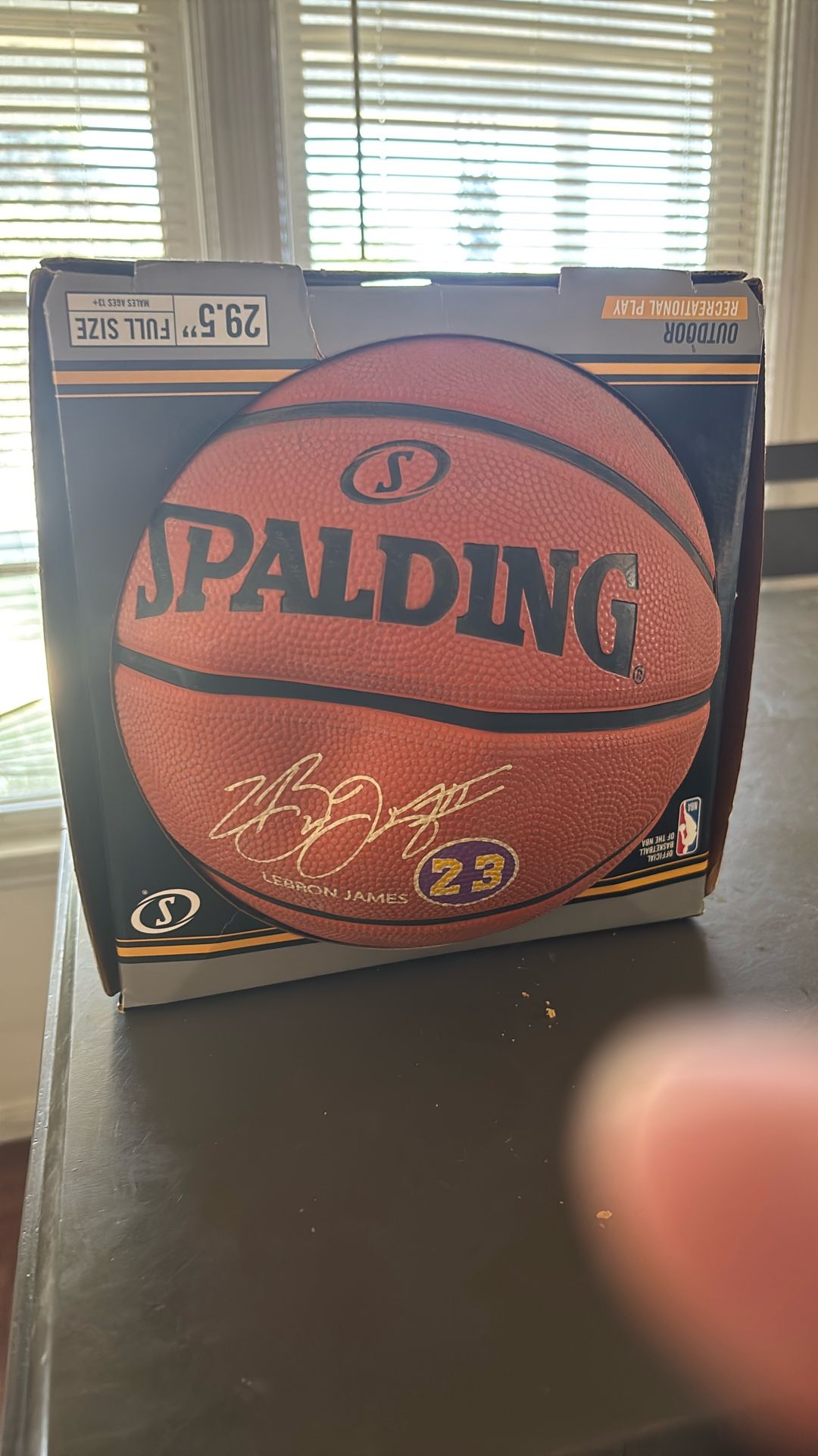 2019 LeBron Printed Basketball