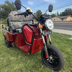 Electric Cargo Trike – Built for Farms & Ranch Work 
