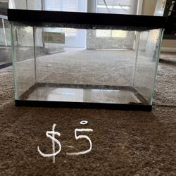 Tank enclosure terrarium 