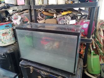 Fish tank
