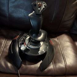 Thrustmaster Joystick