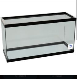 50 gallon aquarium