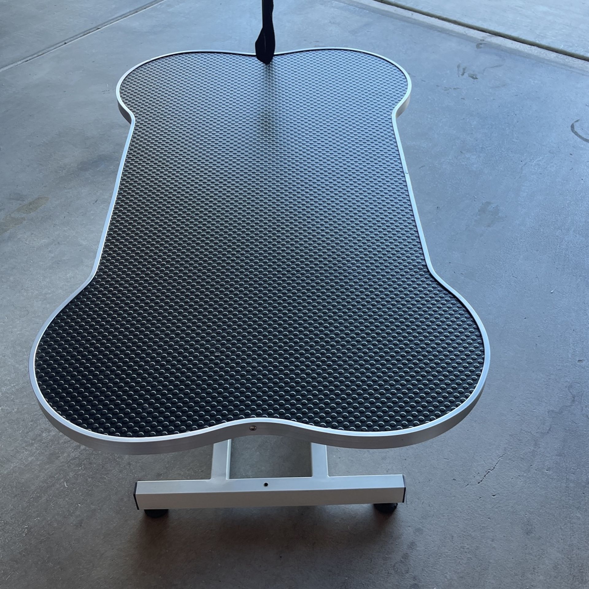 Grooming Table
