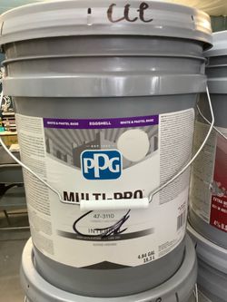 Interior Paint (Crushed Ice)