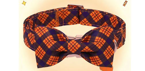Dog Collar with Bow Tie .