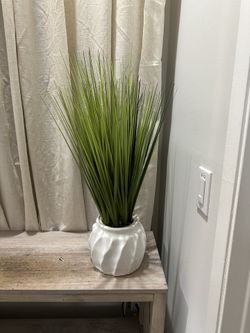 Fake  Plant Decor