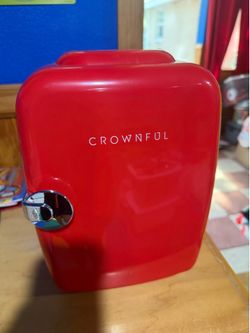 Little mini compact fridge they can go in a car