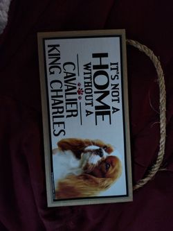 10x5 signs 5 dollars each