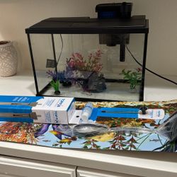 5 Gallon Fish Tank