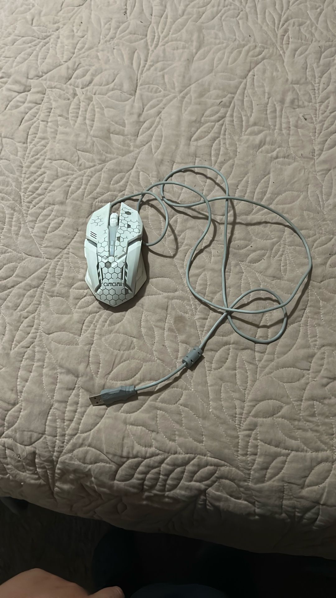 Mouse 