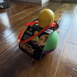 Miscellaneous Dog Toys