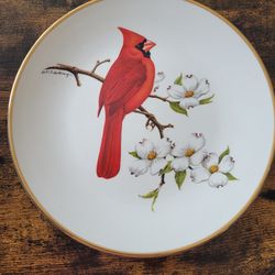 Vintage Avon "Cardinal" North American Songbird plate - 1974