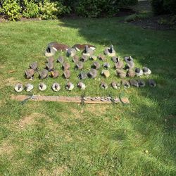 Decoys 
