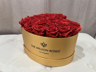 The Million Roses Los Angeles