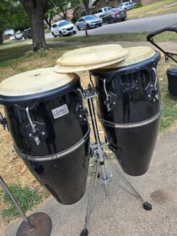 Conga,s black