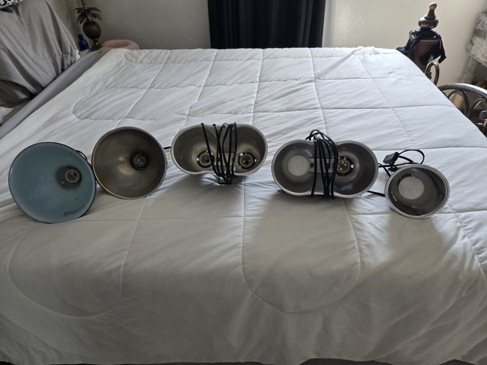 Reptile Lamps