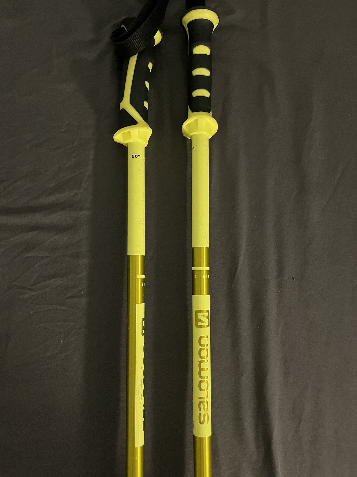 Salomon Ski Poles