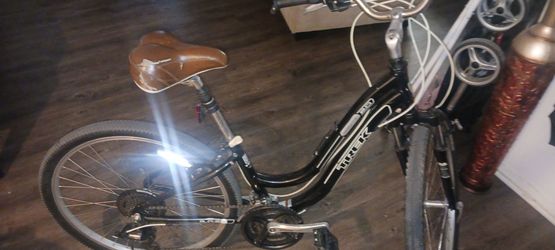 20 inch ladies bicycle Trek