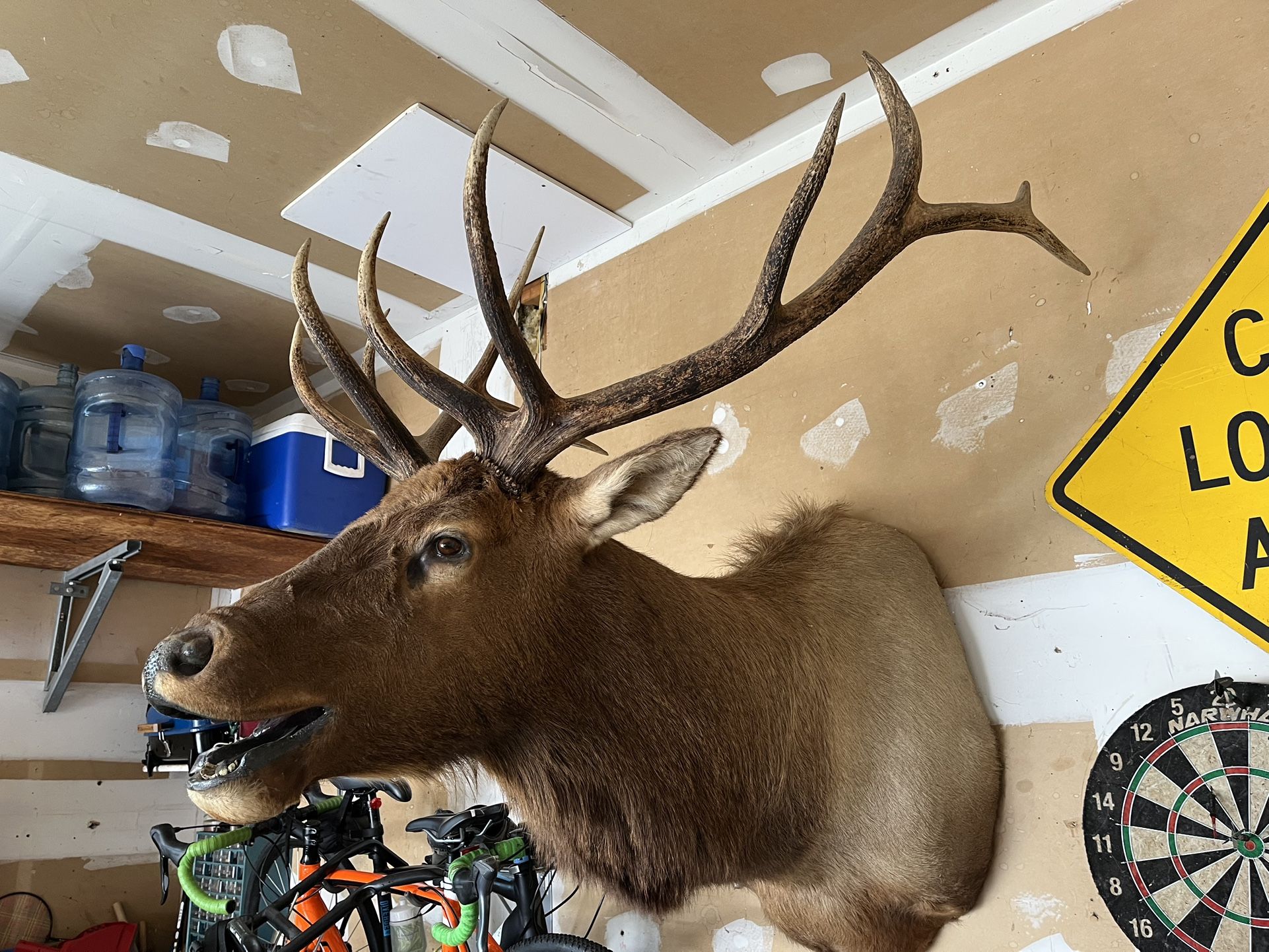 Elk Mount