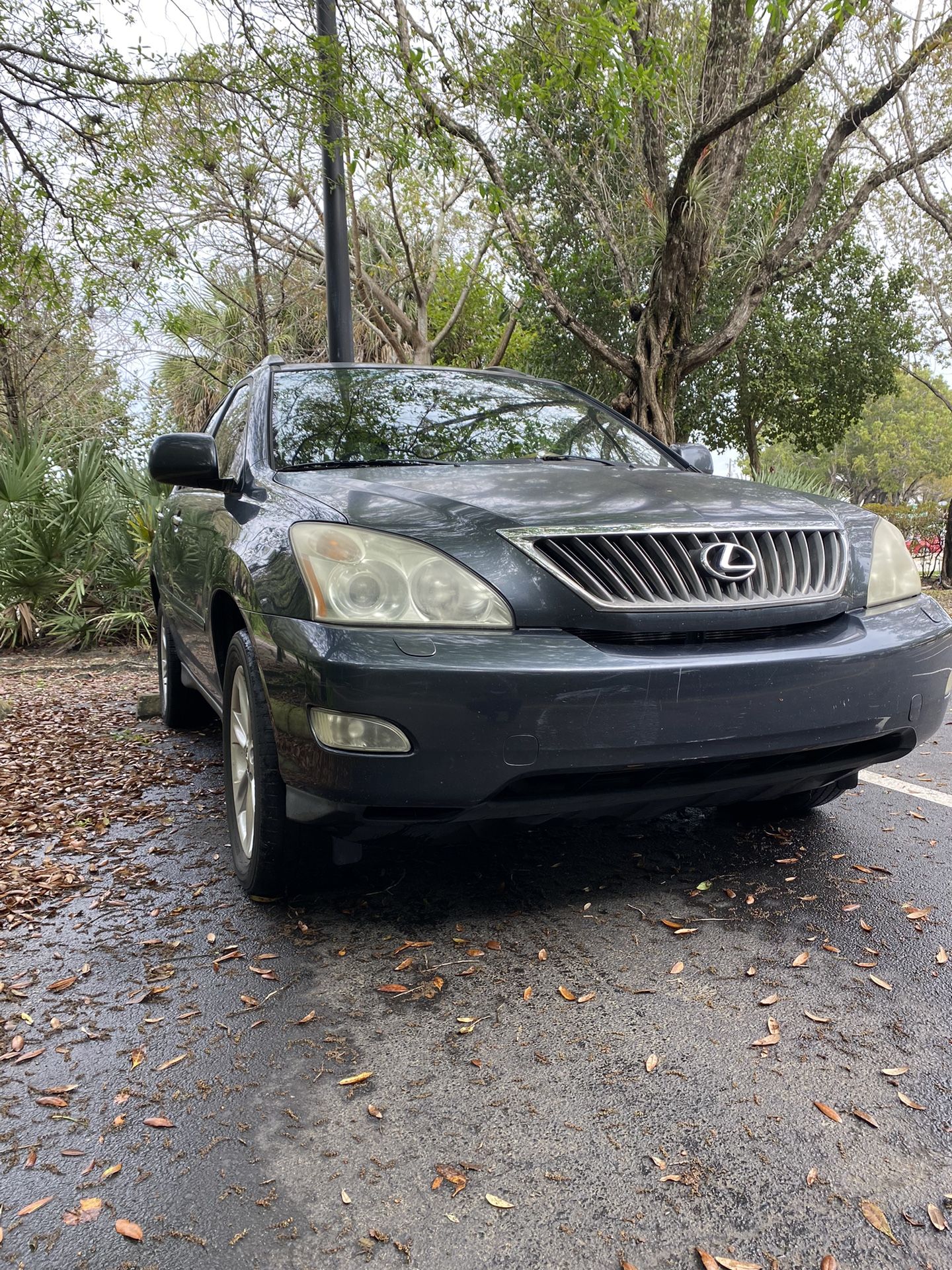 2008 Lexus Rx 350