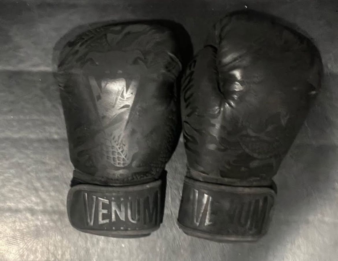 Boxing/thai Gloves