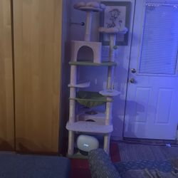 Cat Tree