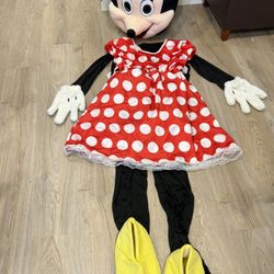 Minnie Mouse Costume