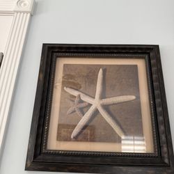 Z Gallerie Starfish & Seashell Artwork