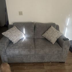 Loveseat And Protective Case 