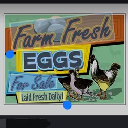 Farm Fresh EGGS