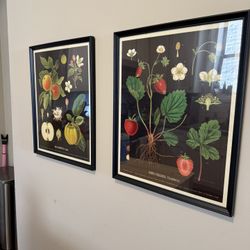 Kitchen artwork Apple / Strawberry 