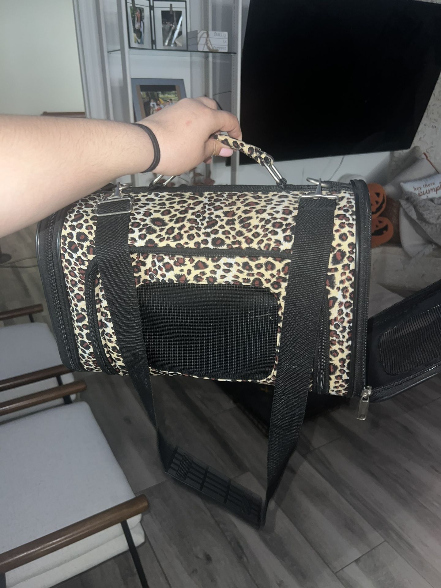 Dog Carrier